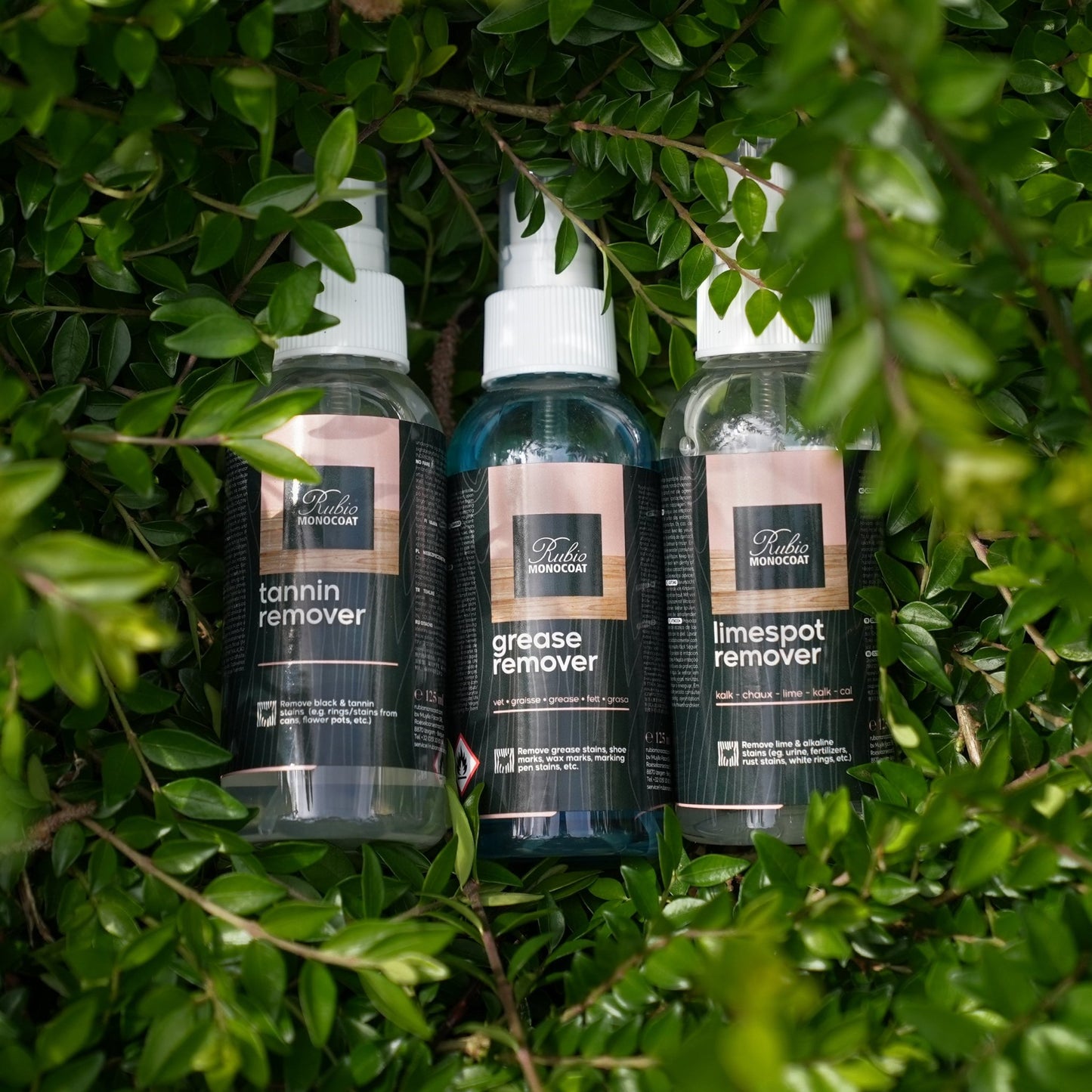 Stain Removal Set - Floors, Furniture & Stairs