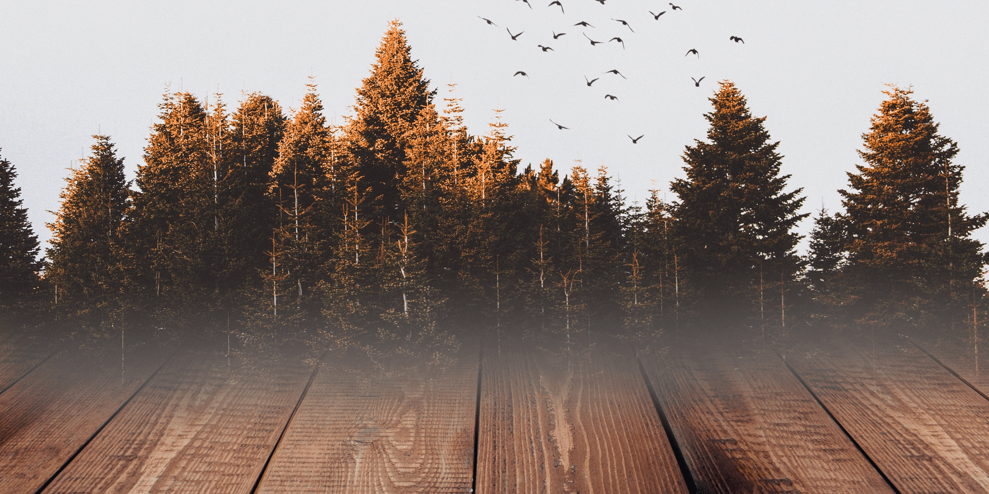 Fedtpletter på trægulv